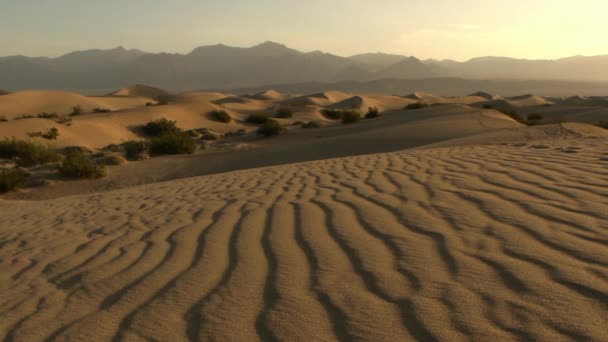 Dunes de sable de la vallée de la mort — Video