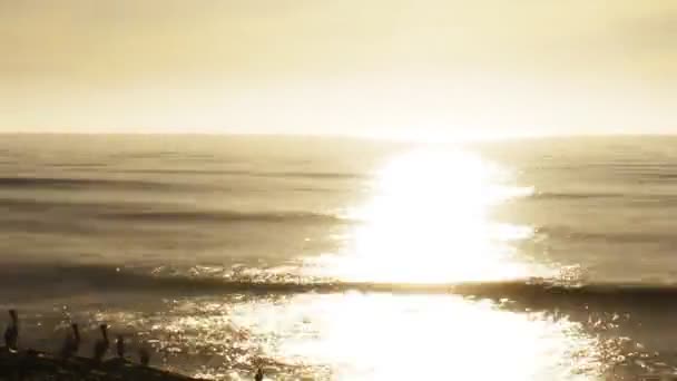 Zonsondergang bij de oceaan — Stockvideo