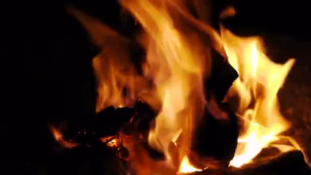 Lagerfeuer in der Nacht — Stockvideo