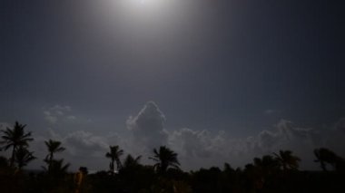 tropikal ay ışığı gece