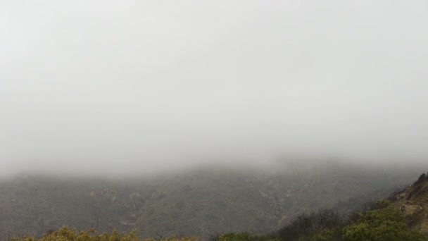 Deep Fog over coastal cliff — Stock Video