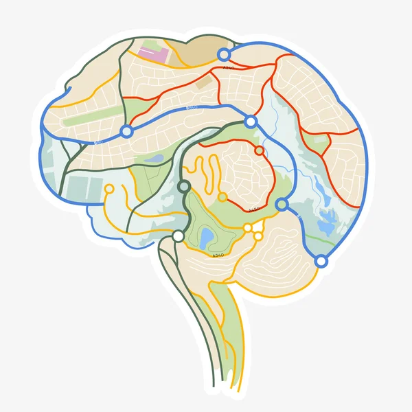 Cérebro humano feito a partir de um mapa —  Vetores de Stock