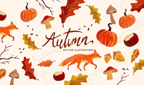 Collezione Autunno Natura Composizione Autunnale Stagionale Con Elementi Autunnali Artigianali — Vettoriale Stock