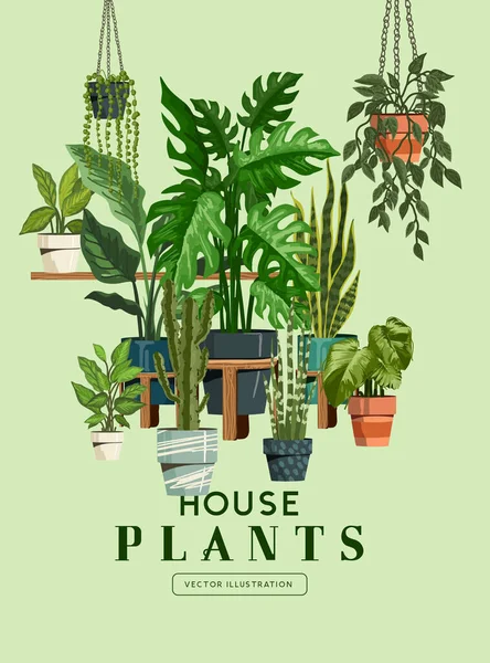 Indoor Garden House Plants Collection Botanical Vector Illustration — Vetor de Stock