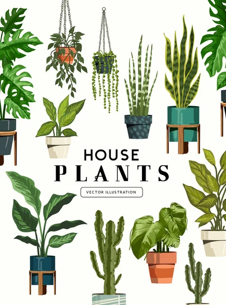 Varied Collection Green Indoor House Plants Botanical Decoration Vector Illustration — Stock Vector