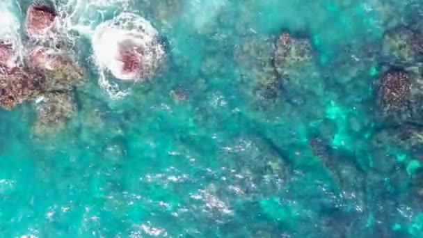 Sea waves on beautiful beach aerial view drone 4k shot. Aerial top view waves break on rocks in a blue ocean. Birds eye view of ocean waves crashing against an empty stone from above — Stock Video