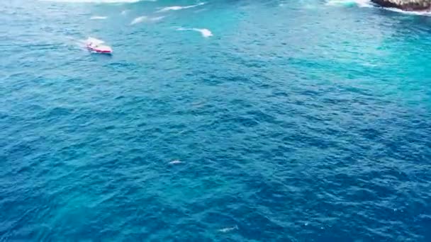 Drone vangt een groep dolfijnen die zwemmen in de oceaan vlakbij Angel Billabong, Nusa Penida — Stockvideo