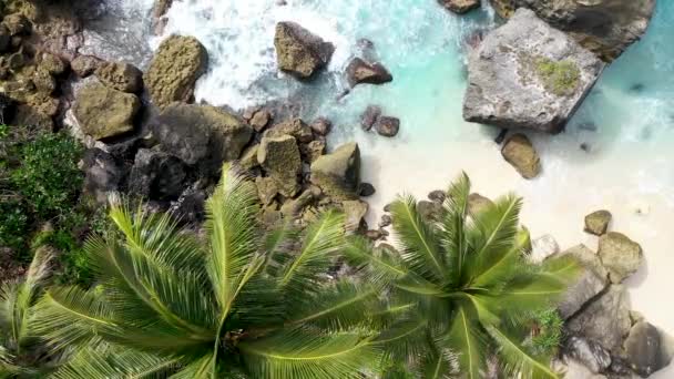 Top view on coastline Diamond Beach with a crystal clear sea lagoon and sandy beach with beautiful palm tree. Holiday concept. Background of scenery nature landscape. Nusa Penida, Indonesia 4K — Stock Video