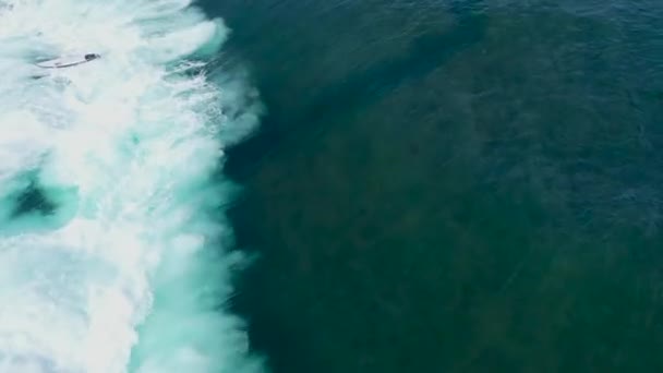 Sörfçülerin mavi sudaki dalgalara doğru kürek çekişlerini gösteren hava manzarası. — Stok video