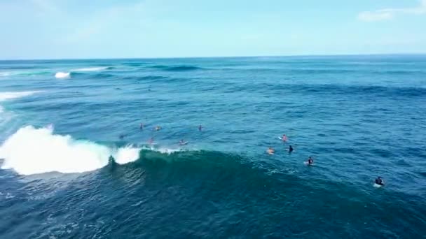 Sörfçüler ve dalgalar. Genç sörfçü kadın dalgaları yakalar ve sörf yapar. Uluwatu, Bali, Endonezya — Stok video