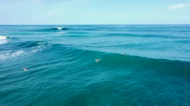 サーファーのパドリングの空中ビューとトリニダードのラス・クエバス湾で波を逃す — ストック動画