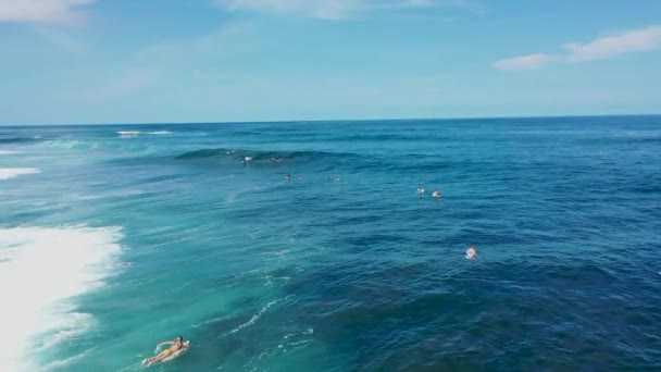 Dişi bir sörfçü okyanusta sörf yapıyor ve büyük bir dalgaya biniyor. Kadın sörfçü yazın dalgaları yakalıyor. Sıcak yaz gününde sörf yapan sörfçüler. — Stok video