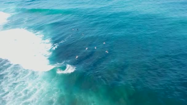 Surfer riding and turning with spray on powerful ocean wave. Surfing ocean lifestyle, extreme sports, aerial tracking cinematic shot — Stock Video