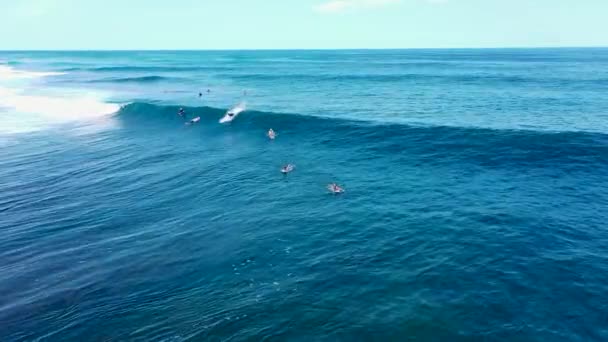 Tiro aéreo: Surfistas no oceano, surfistas machos pegam e montam ondas gigantescas. Um drone a localizar imagens de um surfista a equilibrar-se numa grande onda de surf. Desporto aquático extremo. Verão, exterior — Vídeo de Stock