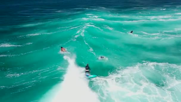 Zümrüt mavisi deniz dalgalarında sörfçülerin yukarıdan aşağı manzarası ve dublörler. Sörf tahtasında dengede durmak. Ekstrem su sporu, açık hava aktivitesi — Stok video