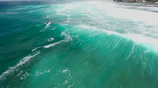 Аерофотозйомка серфінгу на Blue Ocean Wave at Perfect Tropical Point Break. Дрон літо екстремальні види спорту — стокове відео