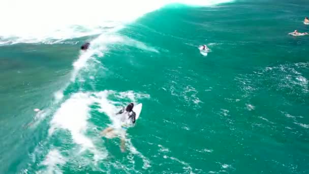 Belo cenário de surfistas pegando ondas com vista incrível nas costas no Havaí — Vídeo de Stock