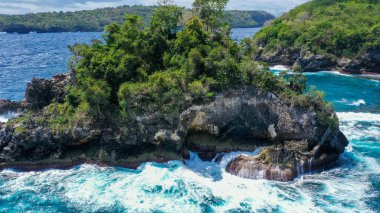 Crystal Bay Nusa Penida Adası 'nda yaban bitkisi olan Büyük Kaya.