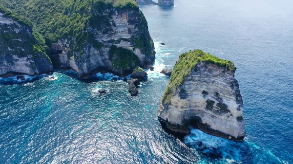 Gros Rochers Avec Une Plante Sauvage Verte Sur Mer Bleue — Photo