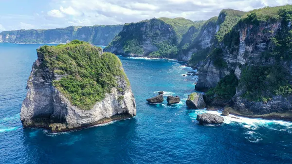 Gros Rochers Avec Une Plante Sauvage Verte Sur Mer Bleue — Photo