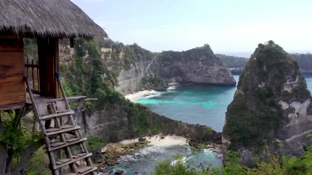 Drónrepülés egy fa kunyhóban a faágakon. A kilátás a híres Rumah Pohon Molenteng A faház, Légi kilátás Manta Bay vagy Kelingking strand Nusa Penida sziget — Stock videók