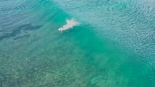 Surfista profesional hace deportes acuáticos surf entre océano azul profundo ilimitado bajo cielo nublado vista panorámica — Vídeos de Stock