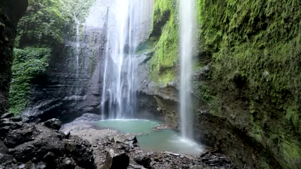 Schöner Madakaripura-Wasserfall im tropischen Regenwald im Nationalpark Ostjava, Indonesien — Stockvideo