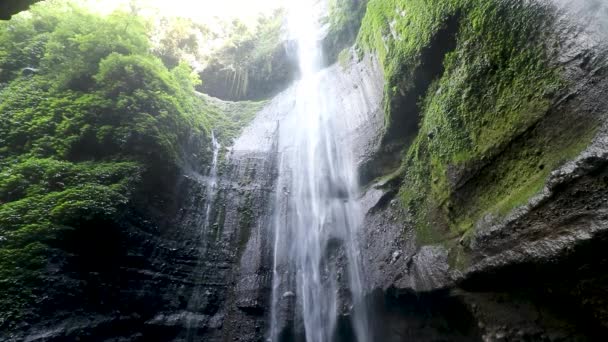 Erstaunlicher Madakaripura Wasserfall in Indonesien. Schöner Morgenblick mit Lichtstrahl durch den Wassernebel. Nasse grüne Blätter bedeckten die Felsen in der Nähe des Wasserfalls — Stockvideo