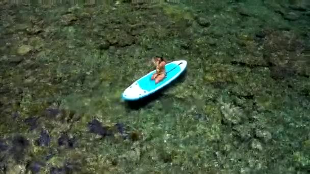 Vista aérea de chica joven de pie remando en vacaciones. Tracking shot of a young woman SUP boarding — Vídeo de stock