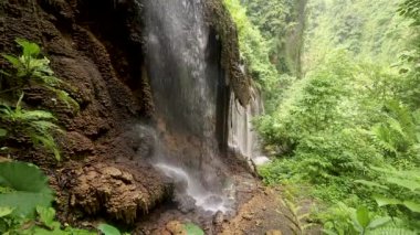 Şaşırtıcı şelale görüntüsü Goa Tetes 'in inanılmaz tropikal orman kanyonu, Doğu Java, Endonezya