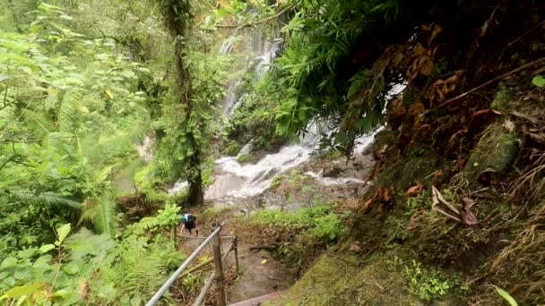 Un uomo scende le scale di ferro verso una cascata nella foresta pluviale. Un viaggio avventuroso e impegnativo attraverso la foresta tropicale. Un turista scende in un canyon nella giungla — Video Stock