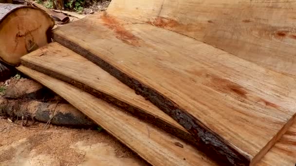 Trunks and logs of felled trees from deforestation operation of forest in Kerala, India Panning clip of stacked and strewn around wood — Stock Video