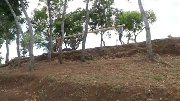Boční pohled na dva mladé asijské muže nesoucí společně kládu ze dřeva — Stock video