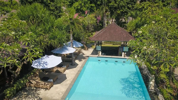 Готель біля басейну з парасольками та пальмами. Вид зверху постріл — стокове фото