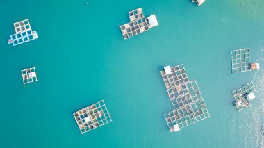 Bambu salları ve balık kafesi, Kampung Kerapu Situbondo, Endonezya