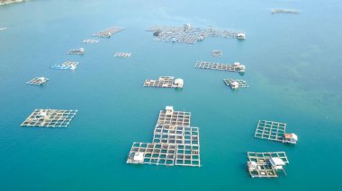 Bambu salları ve balık kafesi, Kampung Kerapu Situbondo, Endonezya