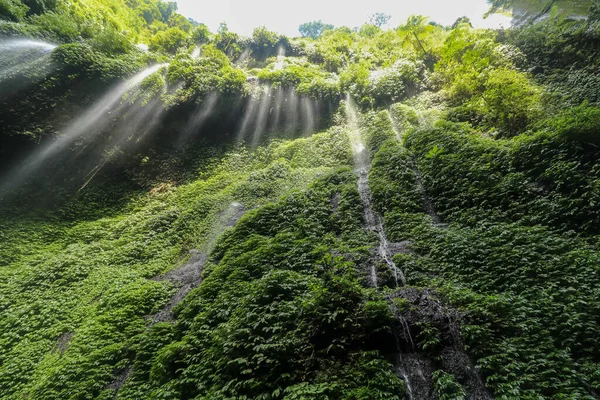 동쪽 자바, 인도네시아 madakaripura 폭포-깊은 숲 폭포 — 스톡 사진