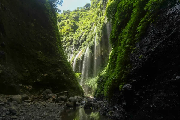 국립 공원의 마다카리푸라 폭포. 자바 섬에서 가장 높은 폭포. 인도네시아 여행 및 휴가 휴가의 자연 풍경 배경입니다. 관광 명소 — 스톡 사진