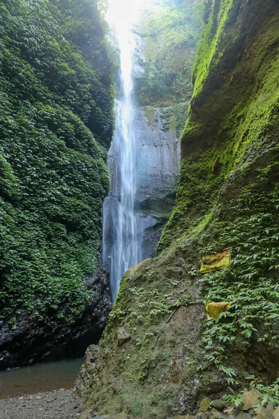 Belle vue sur la cascade de Madakaripura avec mousse verte et ciel bleu à Java, Indonésie — Photo