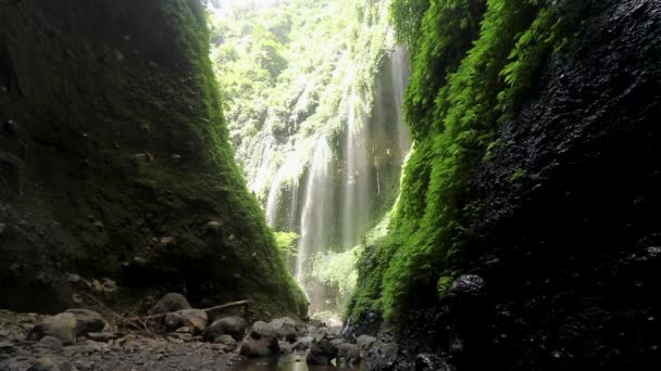 Bella vista della cascata Madakaripura con muschio verde e cielo blu a Java, Indonesia — Video Stock