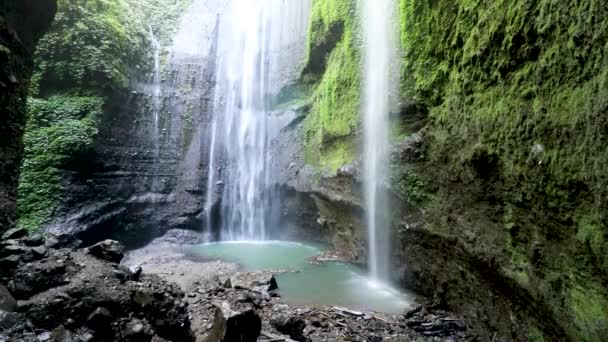 Hermosa vista de la cascada de Madakaripura con musgo verde y cielo azul en Java, Indonesia — Vídeos de Stock