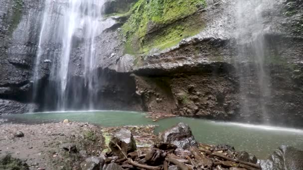 Madakaripura Wasserfall im Nationalpark. Der höchste Wasserfall der Insel Java. Naturlandschaft Hintergrund der Reise und Urlaub in Indonesien. Touristenattraktion — Stockvideo