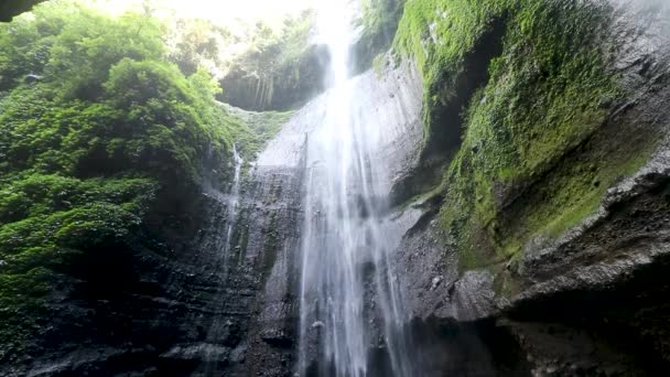 国立公園のマダカリプラ滝。ジャワ島で一番高い滝。インドネシアでの旅行や休日の休暇の自然景観の背景。観光名所 — ストック動画