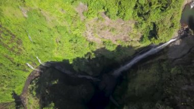 Milli parkta Madakaripura Şelalesi. Java Adası'nın en yüksek şelalesi. Endonezya seyahat gezisi ve tatil tatil Doğa manzara arka plan. Turistik