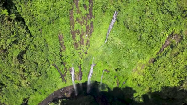 Vista aérea de la cascada de Madakaripura en Java Indonesia. Vuela a lo largo del arroyo hacia la cascada tropical — Vídeo de stock
