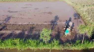 Traktör tarlalarında çalışan bir çiftçi tarlayı ekime hazırlıyor. Bali, Endonezya