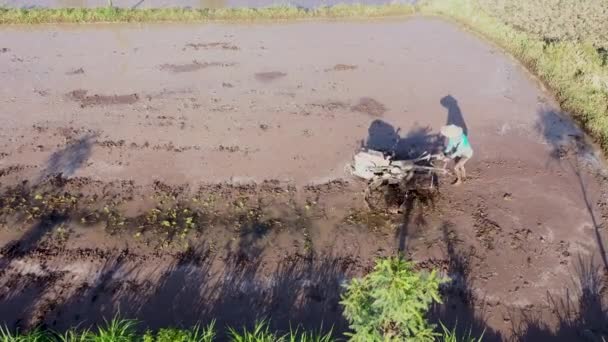 Unbekannte balinesische Pflüger bereiten überflutete Reisfelder mit einem einfachen Traktor mit Kreiselfräse vor. Weitschuss, weite Sicht auf die Reisfelsterrasse am Fuße des Berges — Stockvideo