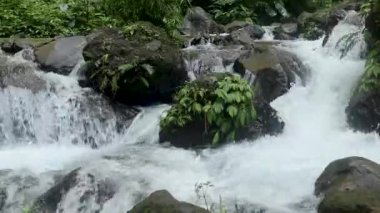 Cascade Creek bir dağ geçidinde akıyor. Dağlarda kış, kayalar ve ağaçlar buz ve buzla kaplıdır.