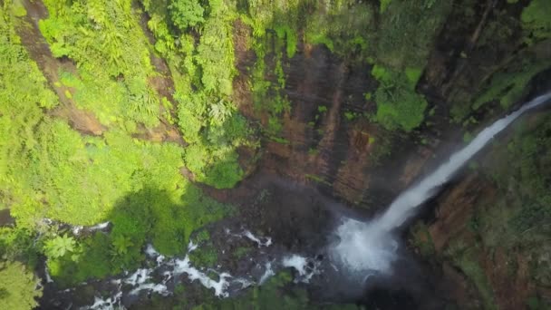 Blick von oben Kapas Biru Wasserfall ist ein verstecktes Paradies in Lumajang, Ostjava mit einer Höhe von etwa 90 Metern, das Wasser ist sehr schwer und klar — Stockvideo