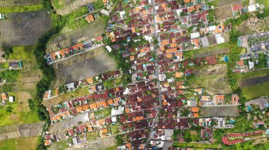 Bali 'nin yukarıdan aşağı görüntüsü - Canggu' da manzara